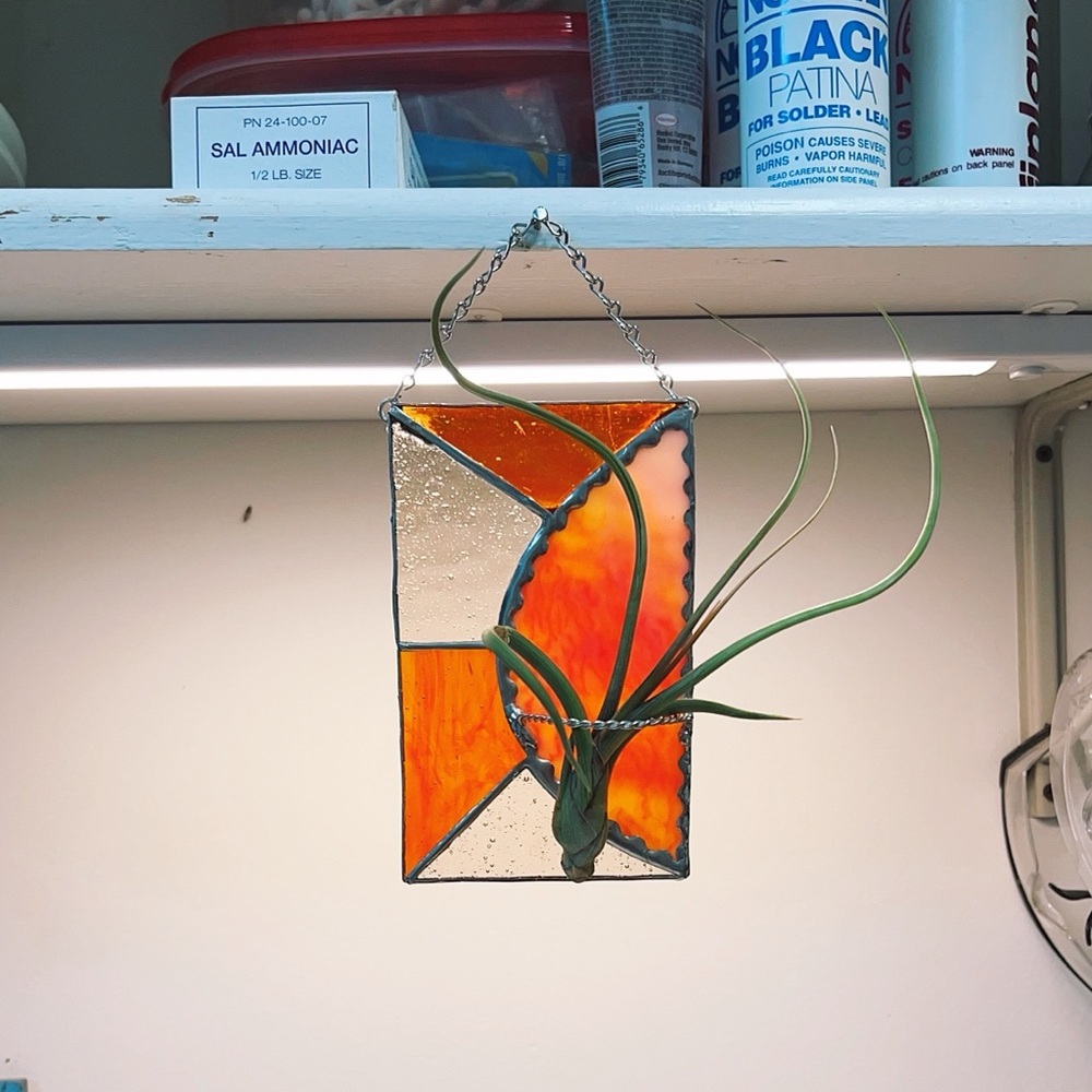 Stained Glass Air Plant Suncatcher☀️